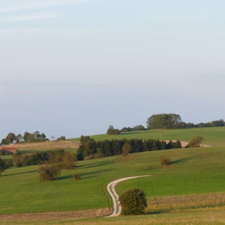 Gaestezimmer Schanz-Hilbel Burladingen 外观 照片